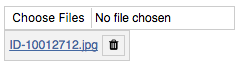 WMultiFileWidget with a file ready to upload